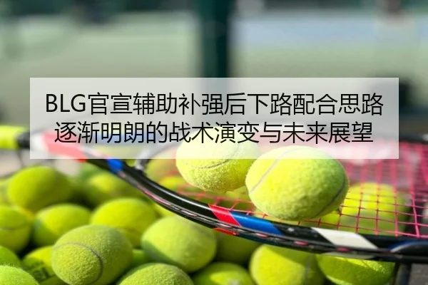 BLG官宣辅助补强后下路配合思路逐渐明朗的战术演变与未来展望（Kaiyun）